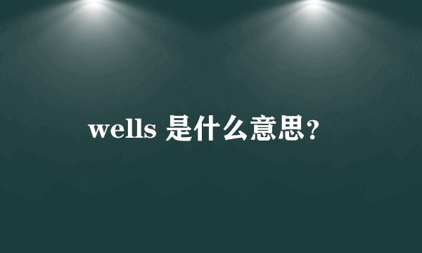 wells 是什么意思？