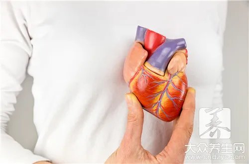  人体器官位置结构图