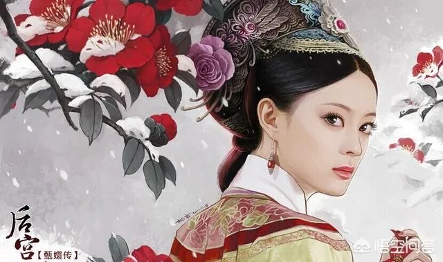 如何评价《甄嬛传》？