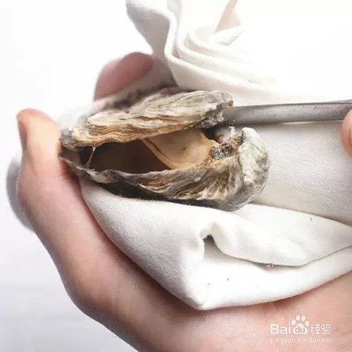 生蚝怎么打开
