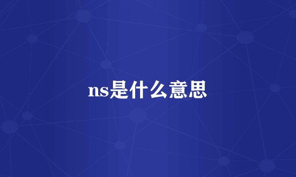 ns是什么意思