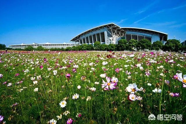 南京中医药大学怎么样？