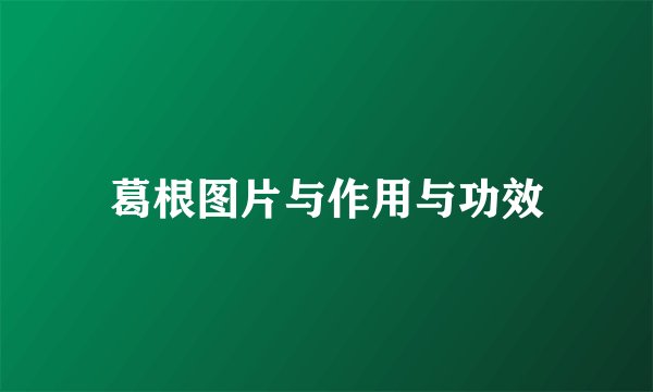 葛根图片与作用与功效
