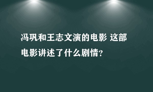 冯巩和王志文演的电影 这部电影讲述了什么剧情？