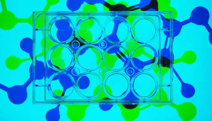 脱氧核糖是什么东西 脱氧核糖是什么