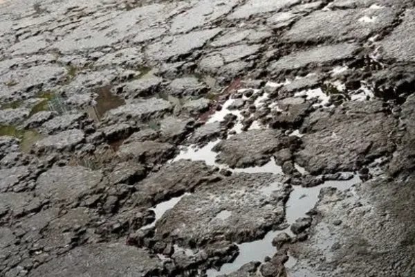 坑坑洼洼的拼音怎么读