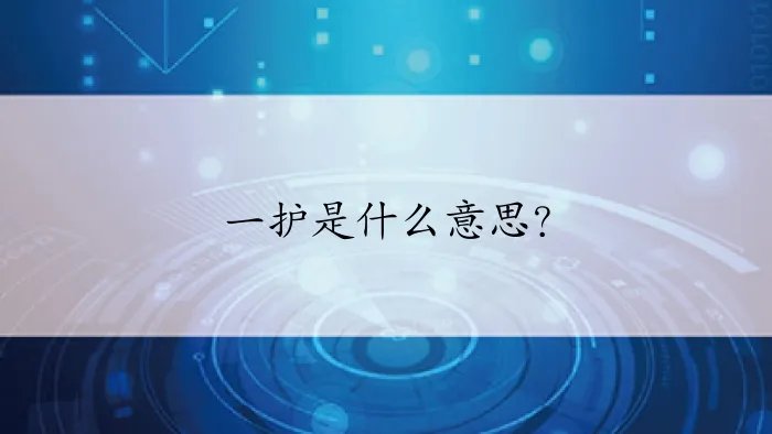 一护是什么意思？