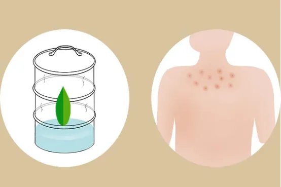 艾叶的功效和作用是什么