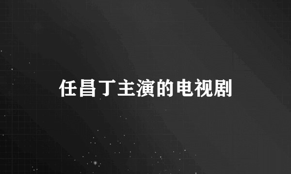 任昌丁主演的电视剧