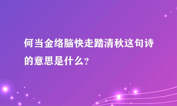 何当金络脑快走踏清秋这句诗的意思是什么？
