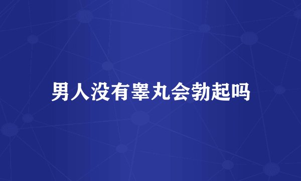男人没有睾丸会勃起吗
