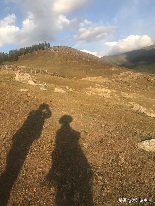 世界上最贵的东西都有哪些?