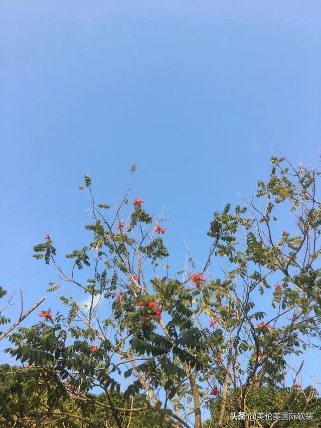 波切蒂诺为啥不喜欢巴萨？