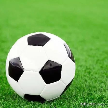 2020欧洲杯你最看好哪个？