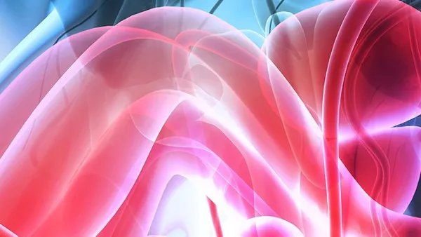 献血的好处有哪些