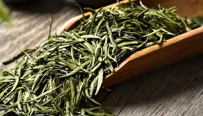 信阳毛尖属于什么茶 信阳毛尖属于什么茶类