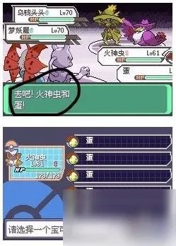 《口袋妖怪究极绿宝石》小智版孵蛋图文教程 小智版如何生蛋