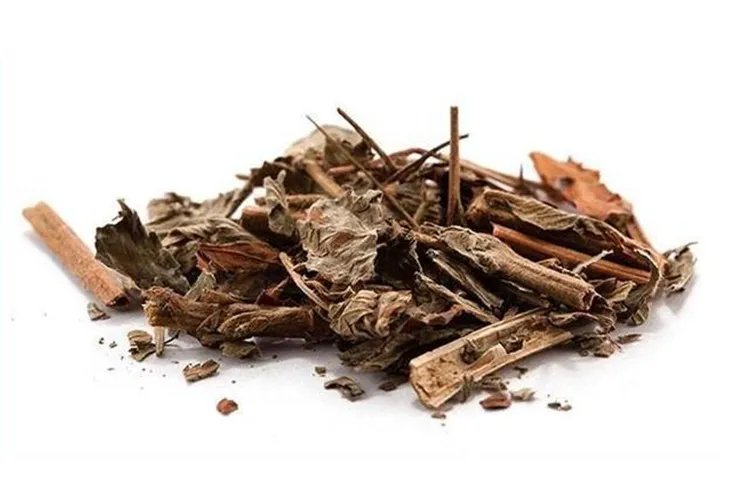 中药仙鹤草图片