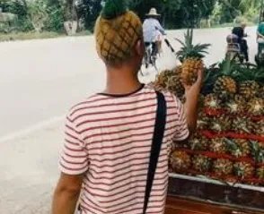 河北小伙理菠萝头卖菠萝，年轻人创业最重要的是什么？