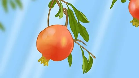 吃什么水果养胃