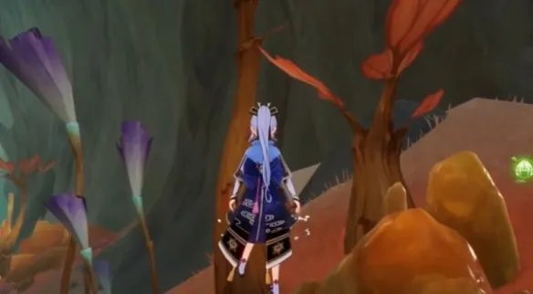 《原神》悬铃木在什么地方？悬铃木获取攻略