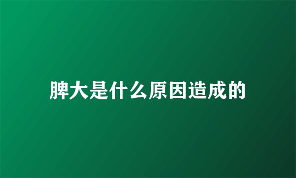 脾大是什么原因造成的