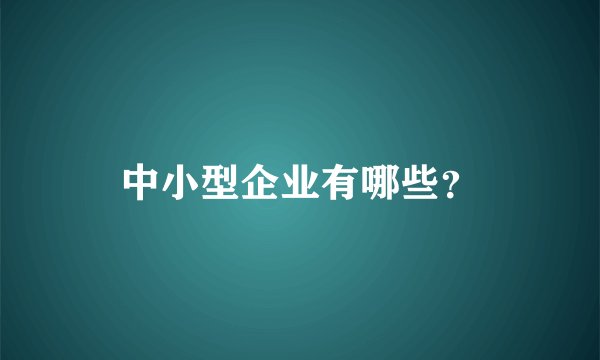 中小型企业有哪些？
