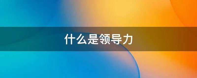 什么是领导力