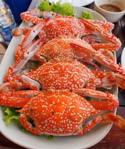 螃蟹蒸多久最佳时间