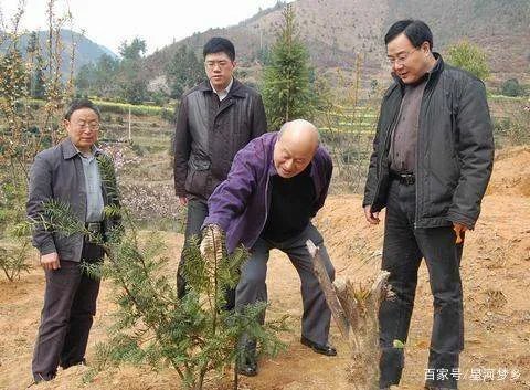 沈祖伦有几个孩子