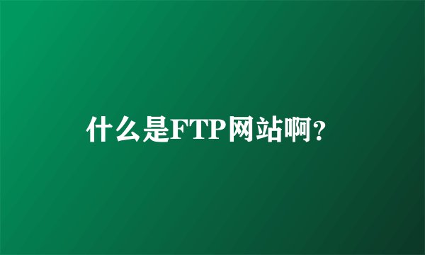 什么是FTP网站啊？