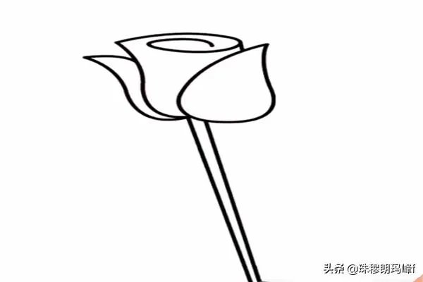 玫瑰花简笔画怎么画？