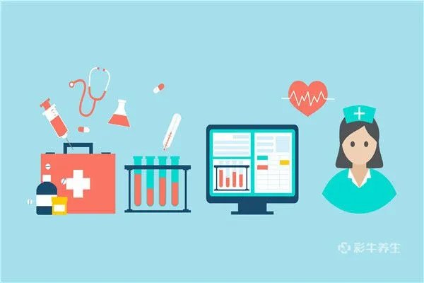 桦树茸的功效和吃法