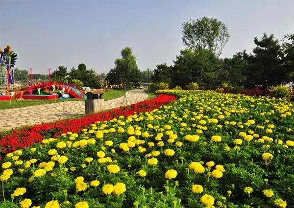 顺义鲜花港的园区简介