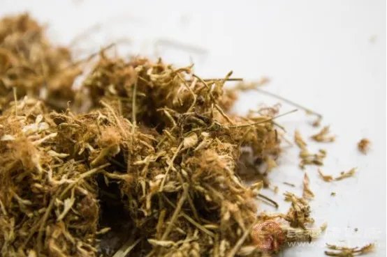 半枝莲的功效与作用有哪些