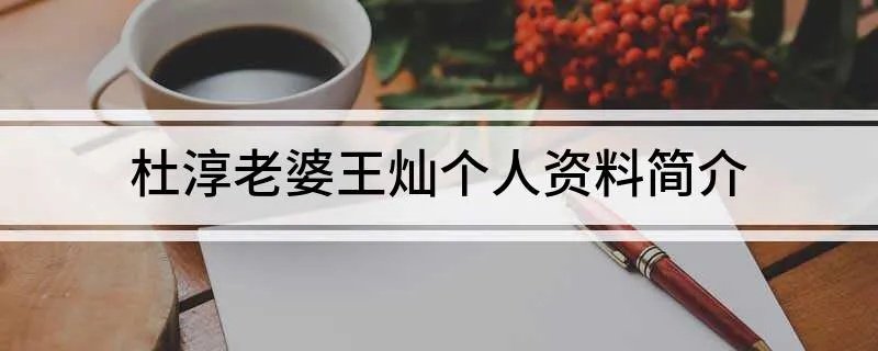 杜淳老婆王灿个人资料简介