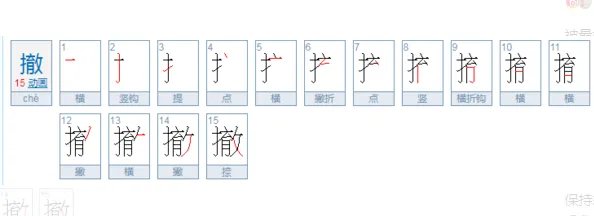 撤组词什么有条