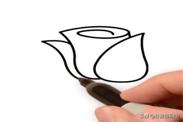 玫瑰花简笔画怎么画？