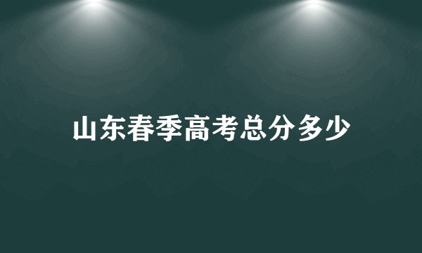 山东春季高考总分多少