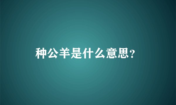 种公羊是什么意思？