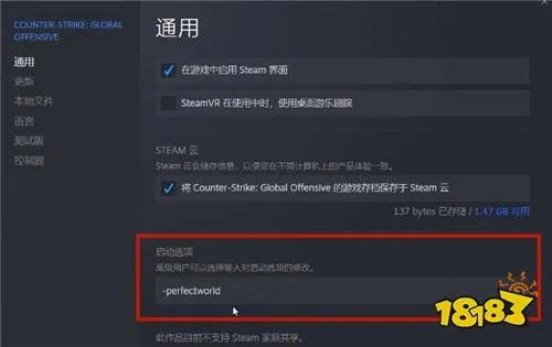 csgo国服启动项代码