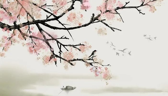 孤芳自赏的意思