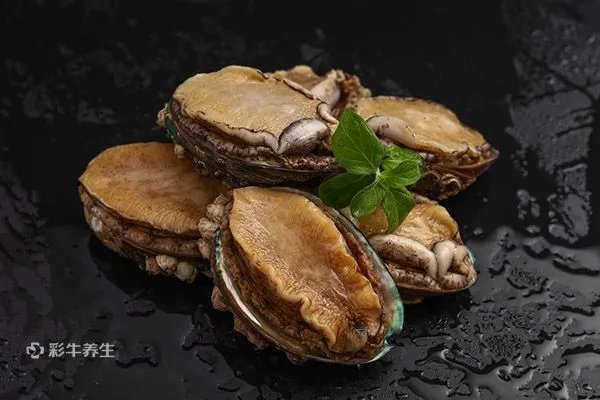 鲍鱼的营养价值及功效与作用