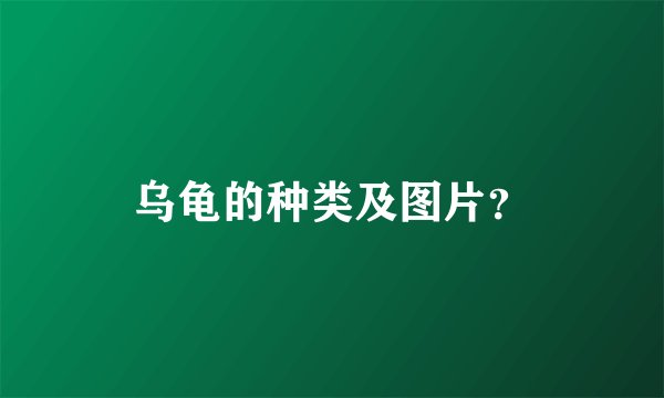 乌龟的种类及图片？