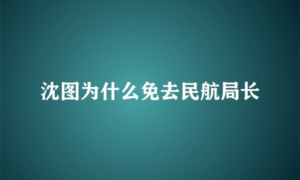 沈图为什么免去民航局长