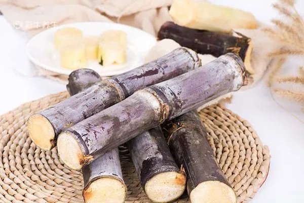 孕妇能吃甘蔗吗