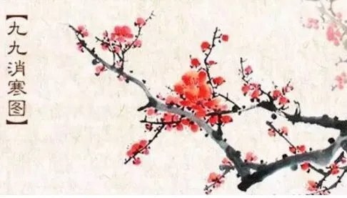 六九是什么意思?