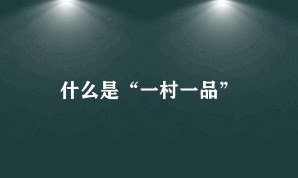 什么是“一村一品”