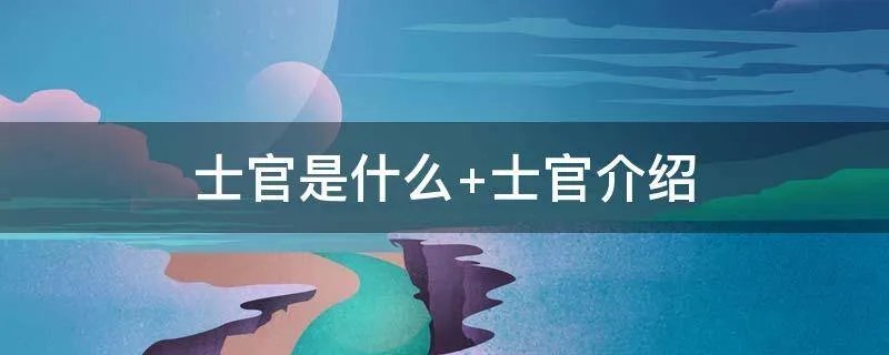 士官是什么 士官介绍