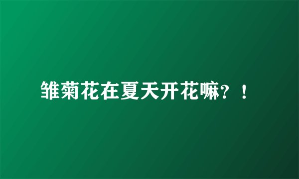 雏菊花在夏天开花嘛？！
